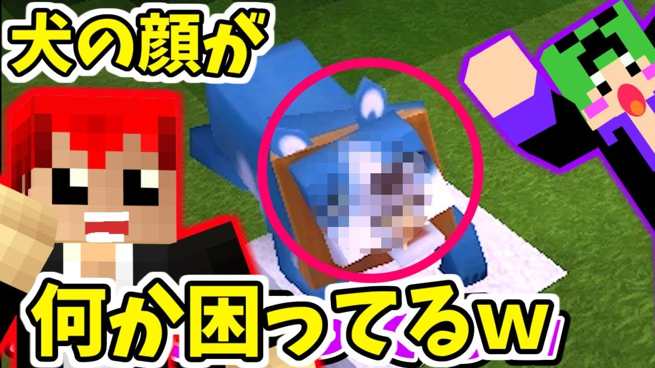 赤髪のとも 0円マイクラ ワンちゃんがペットになったら顔が ｗ Mini World Block Art実況 2 サムネイル画像 Youtuberコメ速報