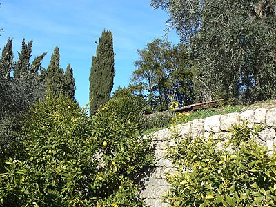 jardin de la bastide.jpg