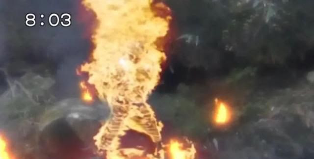 蜘蛛祭天 法力无边 说说在平成骑士中被主骑首战消灭的蜘蛛怪人