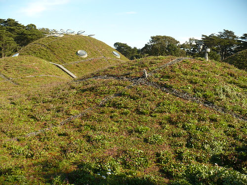 P1030406