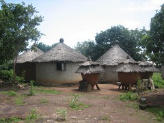 Traditional houses