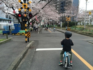 横須賀市 根岸公園 かなえのぶろぐ