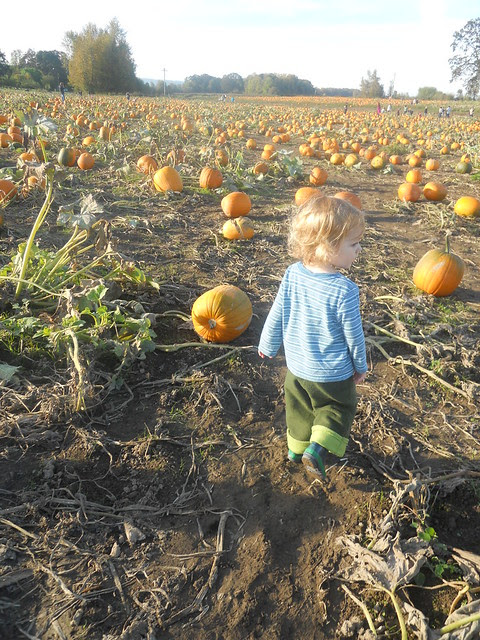fall2010 017