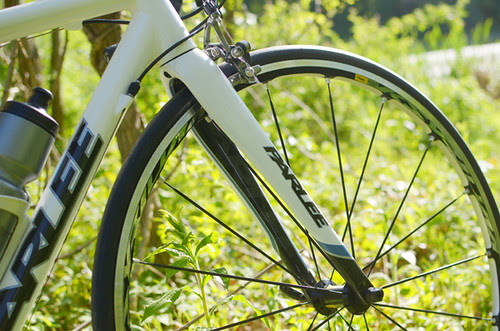 Parlee Z5