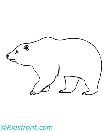 Bear Coloring on Print Bear Coloring Pages Small Color Page Large Color Page Small B W