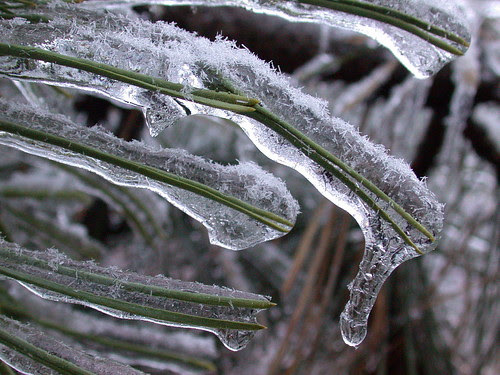 ice4.jpg