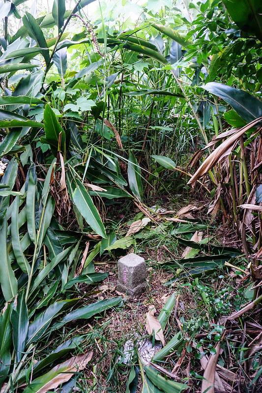 DSC00090