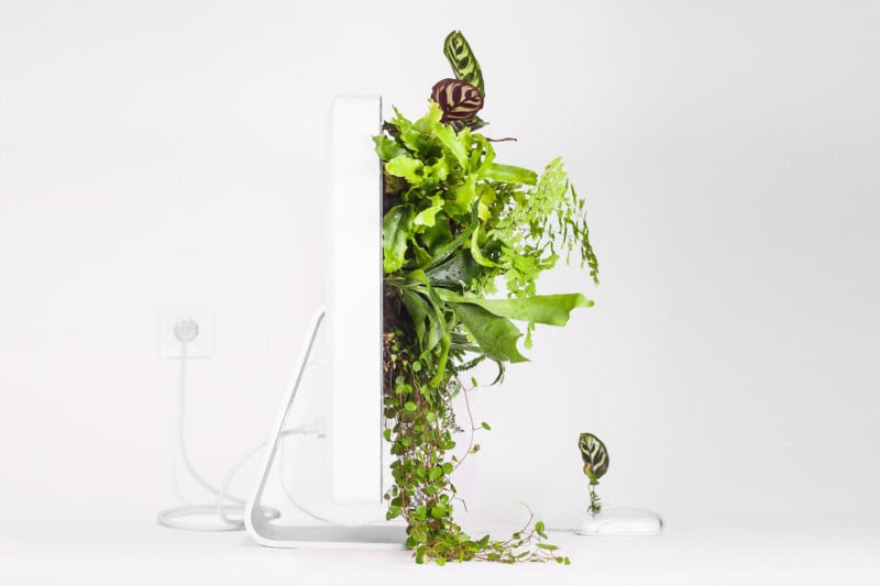 plant_your_mac_imacwallplant_monsieur_plant_2016_3