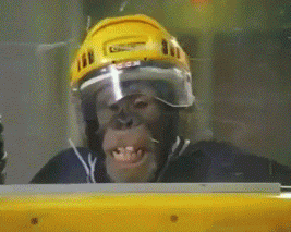mvp most valuable primate GIF 1