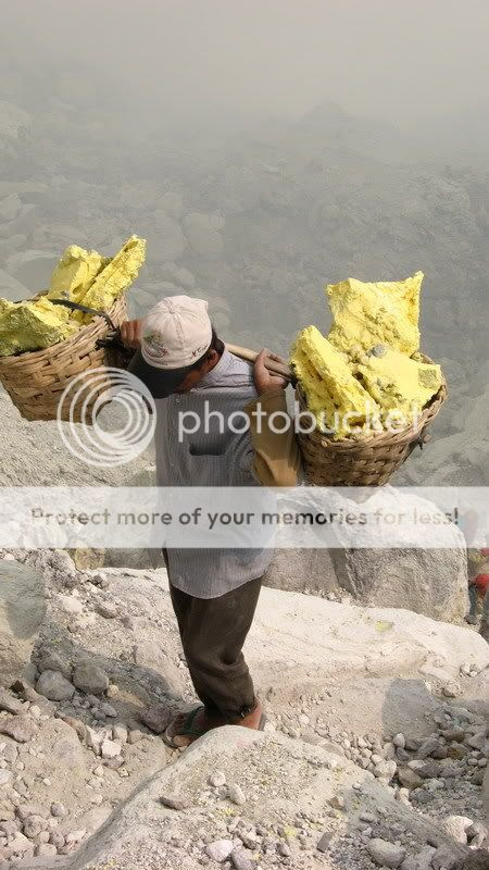 mengangkat beban berat Pictures, Images and Photos