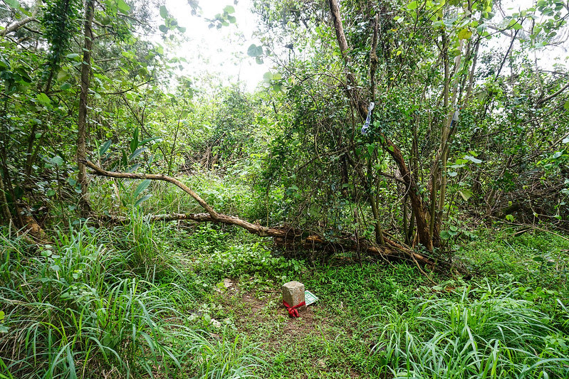 DSC05070