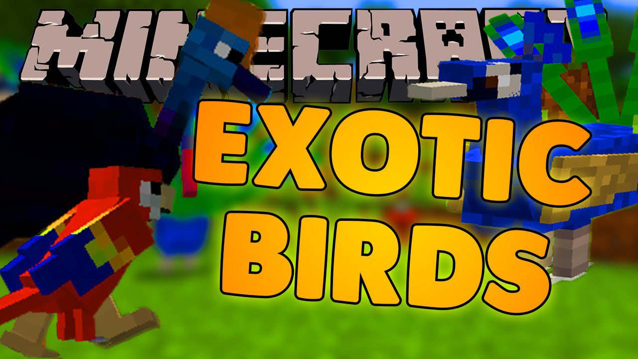 Exotic Birds Mod 1 16 5 1 15 2 Birds Take Over Minecraft 9minecraft Net