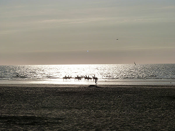 chevaux