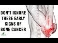 What Are The Signs Of Bone Cancer In Dogs : Symptoms of Bone Cancer in Dogs - What are the signs of bone cancer in dogs.