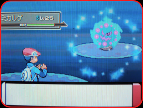 Booのblog Pループ 色ミカルゲ