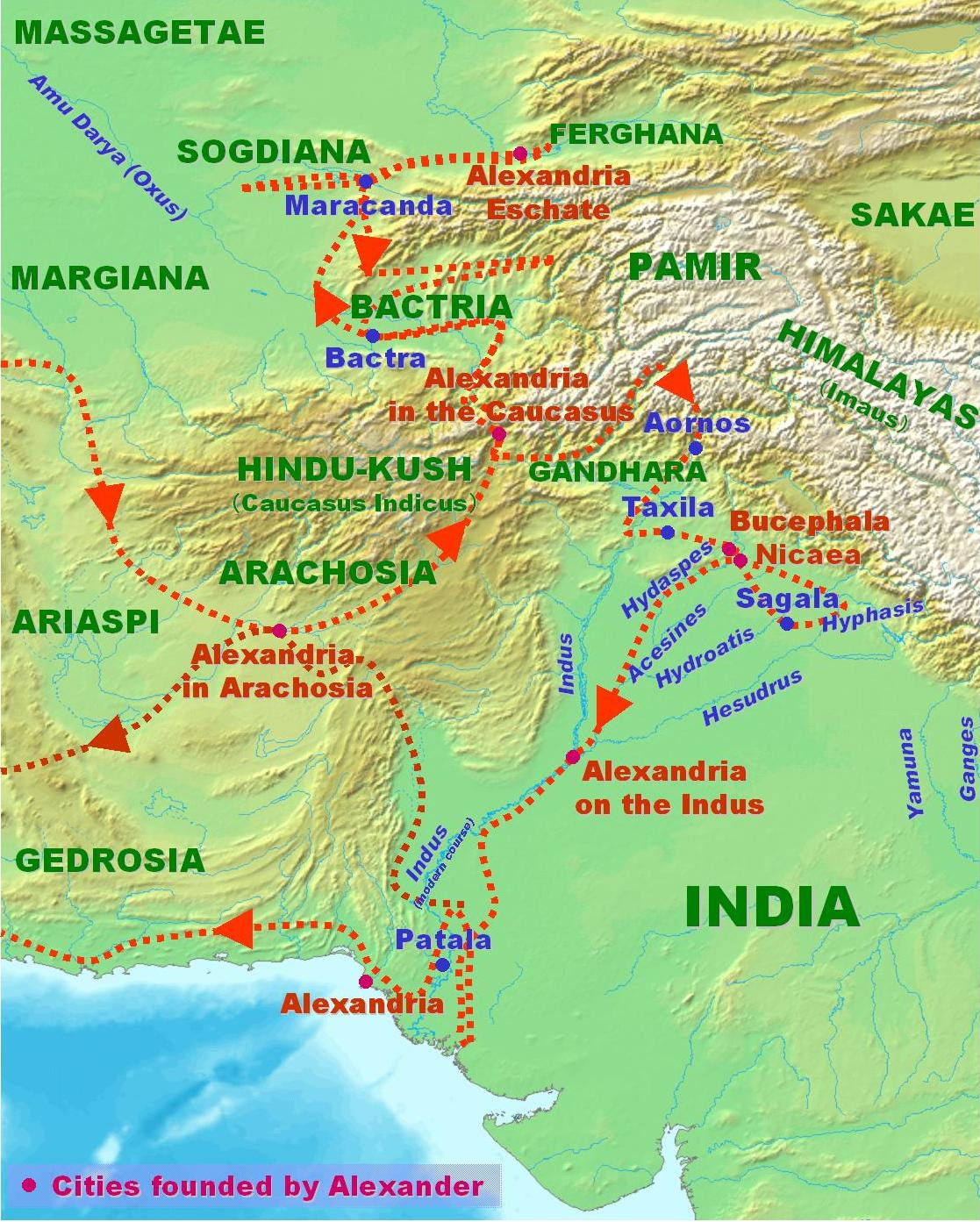 Posted Image