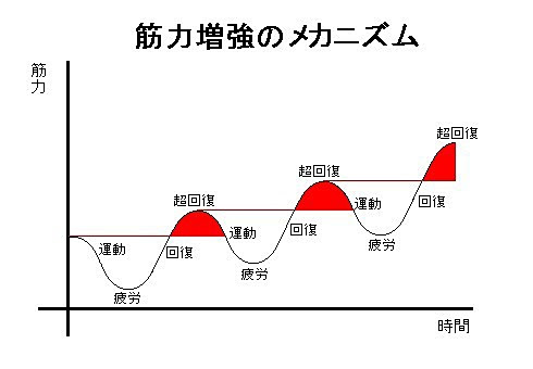 効率の良い筋力増強訓練をするには そう けん び整骨院 あ そ し え整骨院 デイサービス 宮崎県宮崎市 都城市