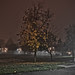 A foggy night at Solano Park