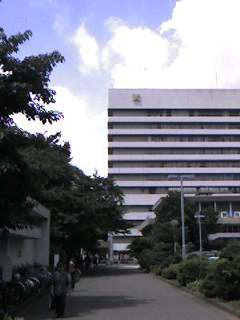 慶応病院夏真っ盛り