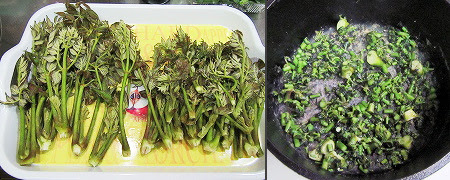 タラの芽ご飯