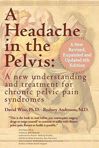 A Headache in the Pelvis, a New, Revised, Expanded and Updated 6th Edition: A New Understanding and Treatment for Chronic Pelvic Pain Syndr A Headache in the Pelvis, a New, Revised, Expanded and Updated 6th Edition: A New Understanding and Treatment for Chronic Pelvic Pain Syndr