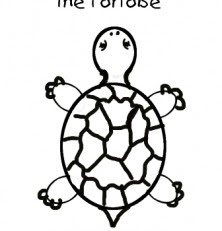 tortoise drawing at getdrawings  free download
