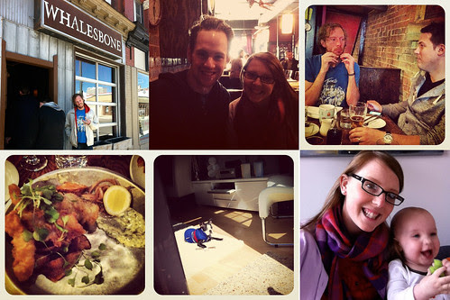 whalesbone