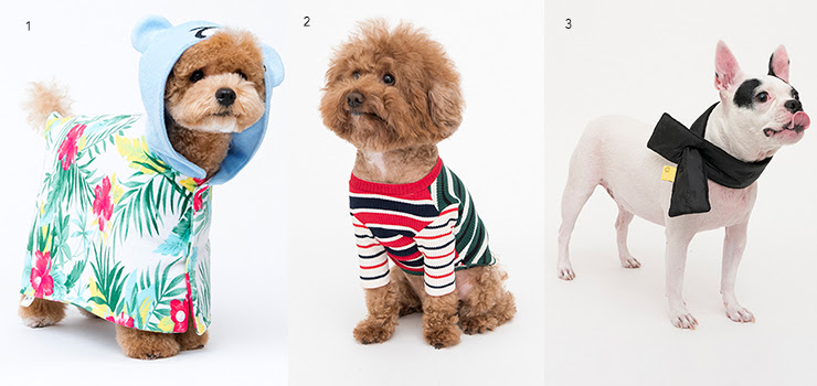 The Top Clothing Brands From Korea For Your Stylish Pet