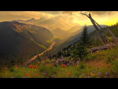 Armin van Buuren feat. Sophie - Virtual Friend