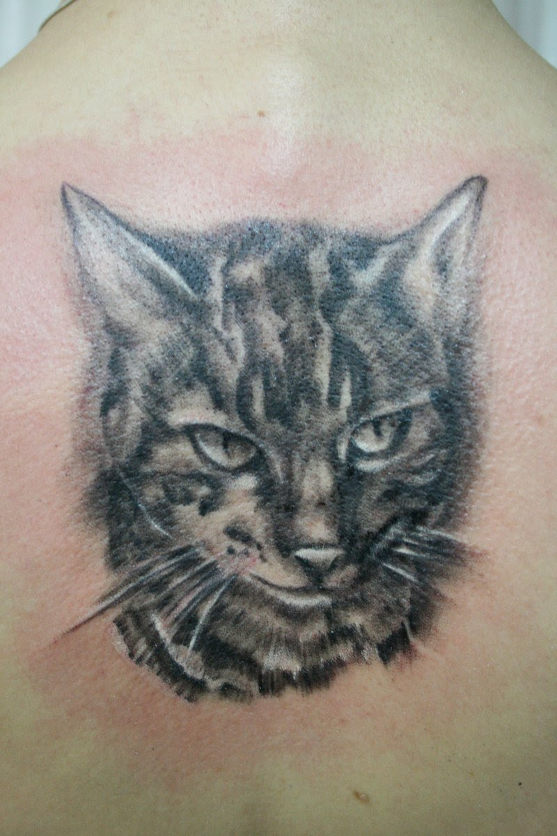 Cat Tattoos Designs Ideas and Meaning Tattoos For You
