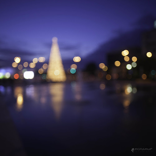 Lucecitas de ocasión