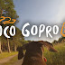 Canicross GoPro on Dog