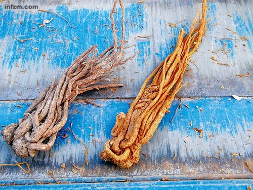 中國當歸隱患，藥材中現“瘦肉精” 生長素催熟(圖)