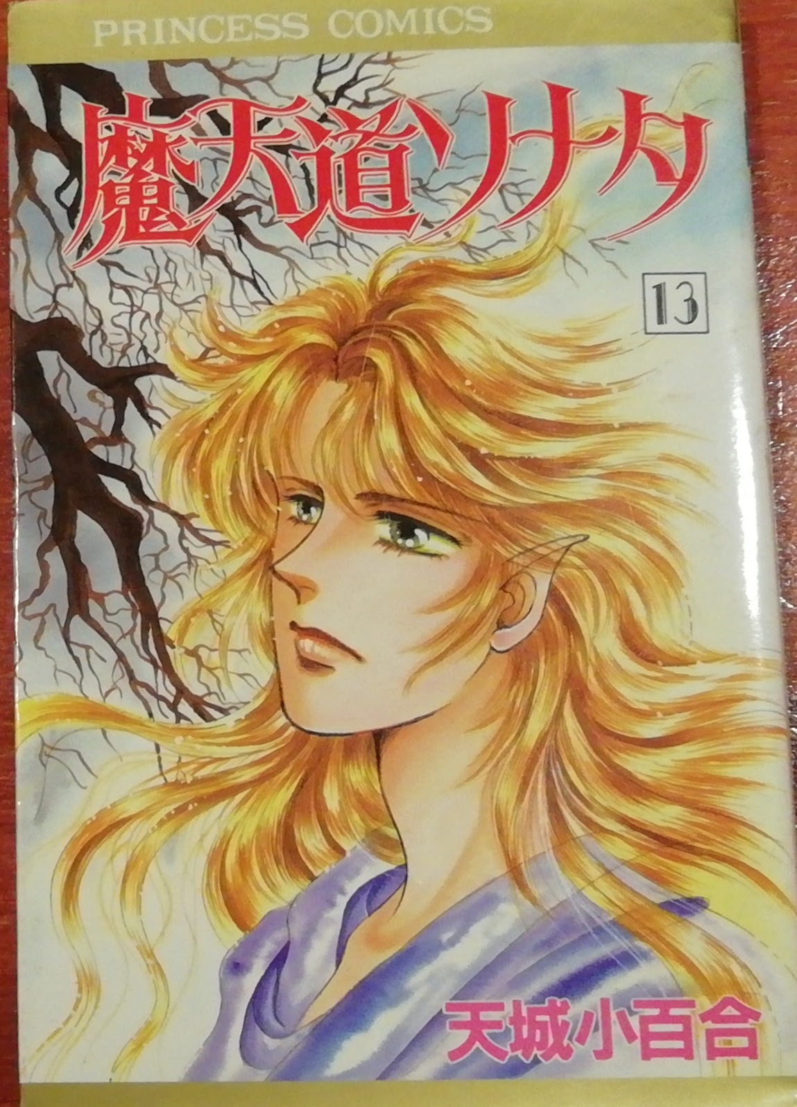 魔天道ソナタ １３