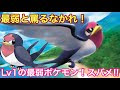 [最も人気のある！] ポケモン oras スバメ 590487
