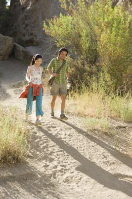how to lose 10 pounds by walking