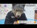 [無料ダウンロード！ √] トーキョー タナカ 猫 241082