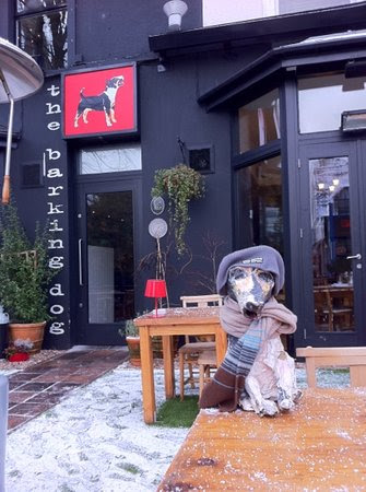 Photos of The Barking Dog Restaurant Belfast, Belfast