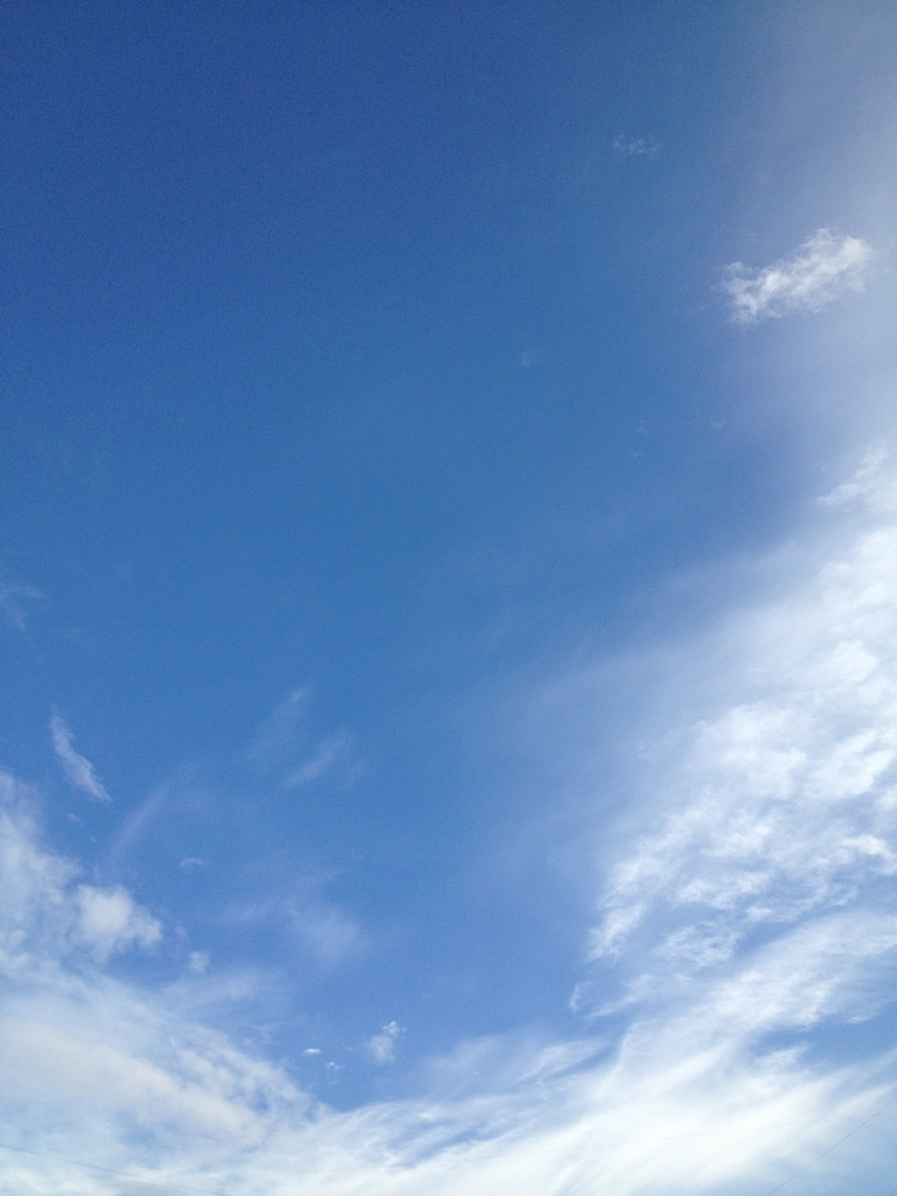 http://24.media.tumblr.com/tumblr_ma2q9sZx8A1rf076no1_1280.jpg