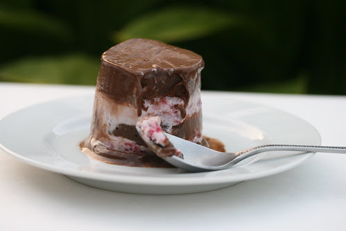 Chocolate-Banded Ice Cream Torte (Tuesdays with Dorie)
