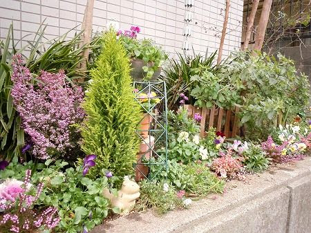 美しい花の画像 ユニーク冬の花壇 花