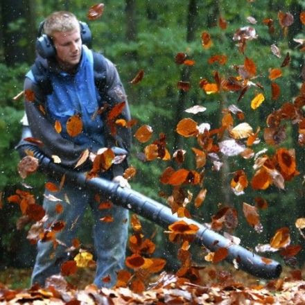 Against Leaf Blowers