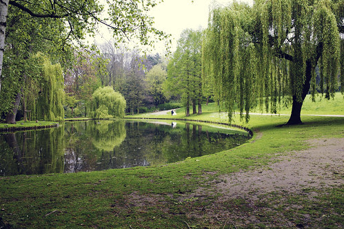 smygfotar bröllopspar i park, bryssel