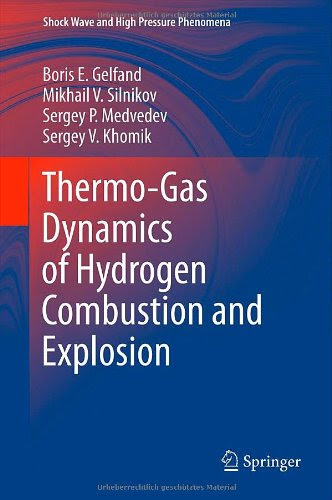 Thermo-Gas Dynamics of Hydrogen Combustion and Explosion (Shock Wave and High Pressure Phenomena)