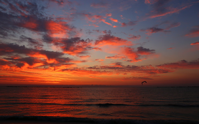 sunrise sea wallpaper