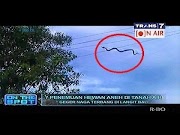 Populer Binatang Aneh Di Indonesia, Terupdate!