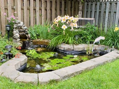 Designing A Relaxing Backyard Fish Pond: Tips For Interior Decoration
