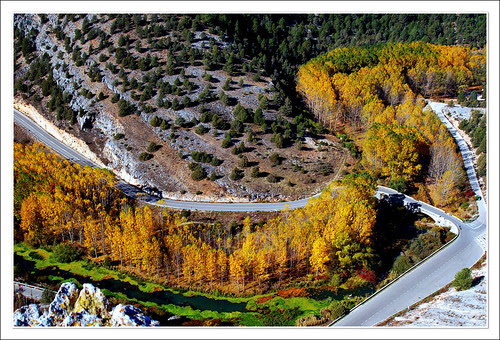 río lobos
