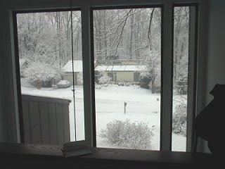 looking out my front window
