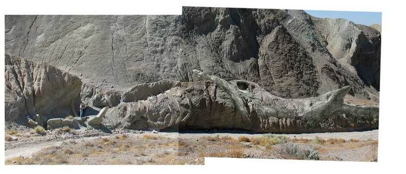 [Image: iranfar.jpg]